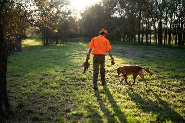Greystone Dog and Hunter-1