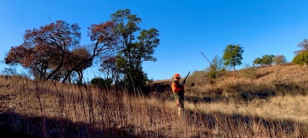 Joshua Creek