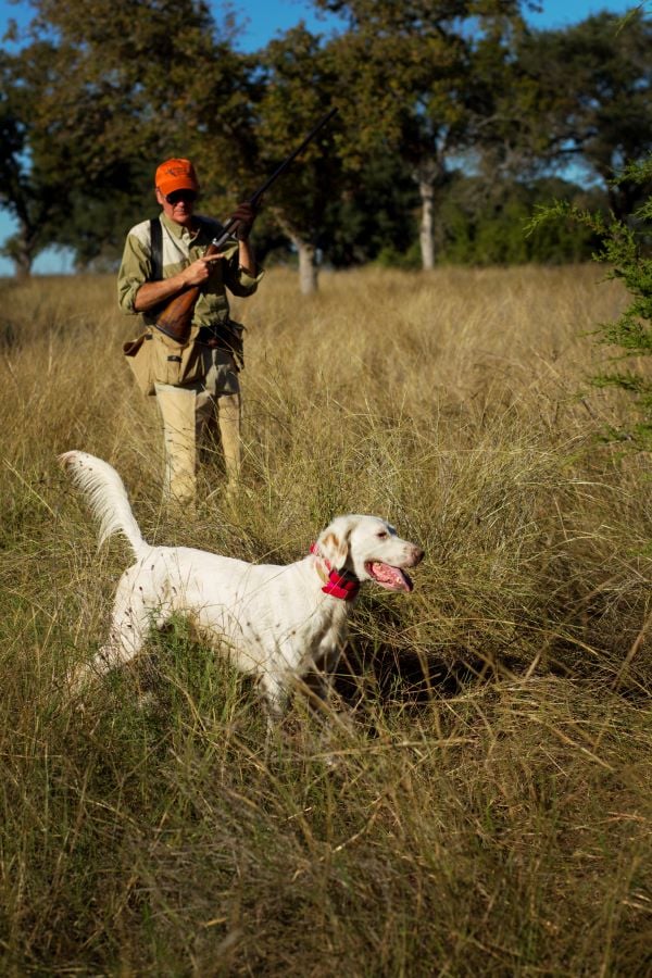 What You Need to Know About Joshua Creek Ranch in Texas
