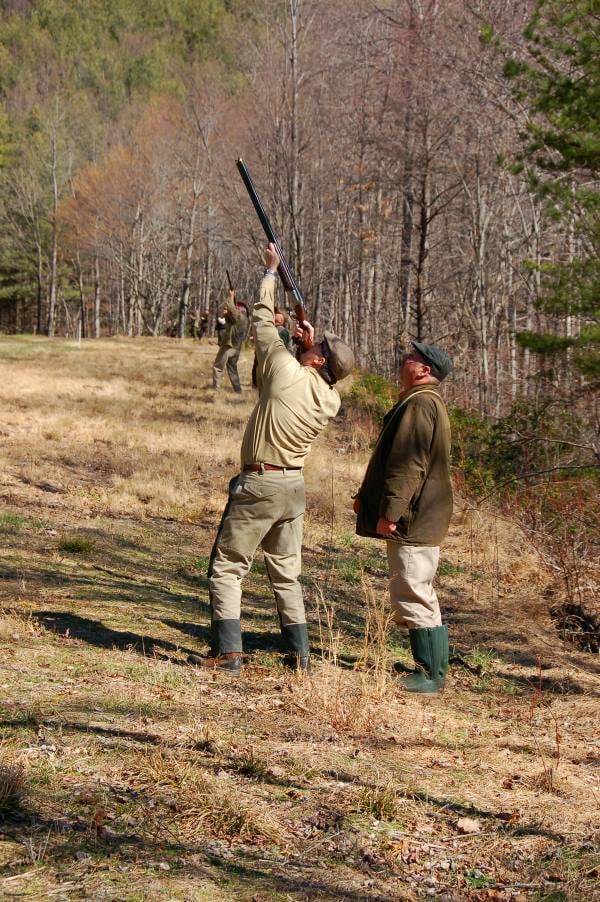 Primland Driven Shooting