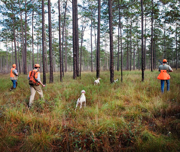 SouthWind Plantation