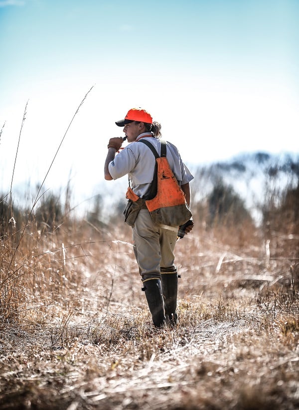 Prairie Wildlife
