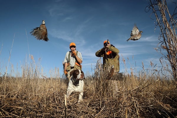 Prairie Wildlife